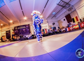 evvf belgium2015 open ceremony-2