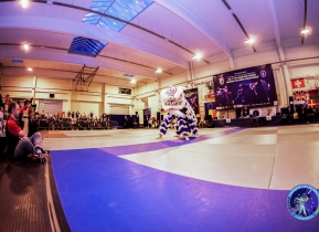 evvf belgium2015 open ceremony-3