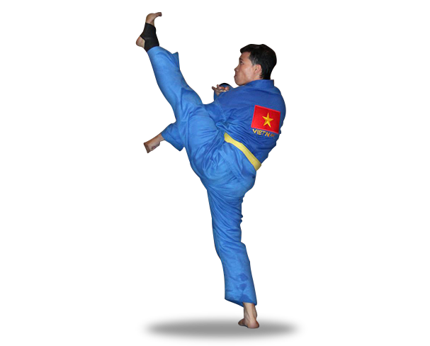 Vovinam Viet Vo Dao