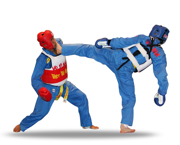 Vovinam Viet Vo Dao