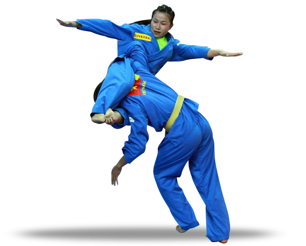 Vovinam Viet Vo Dao