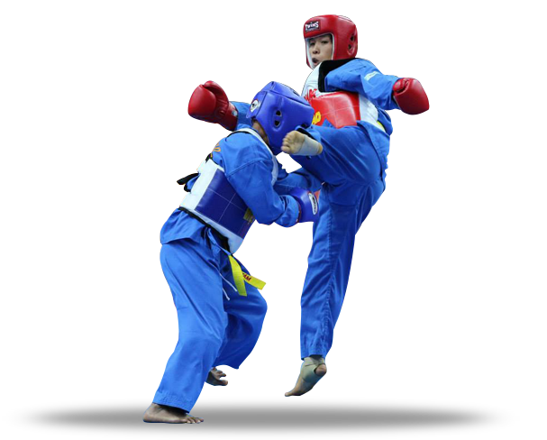 Vovinam Viet Vo Dao