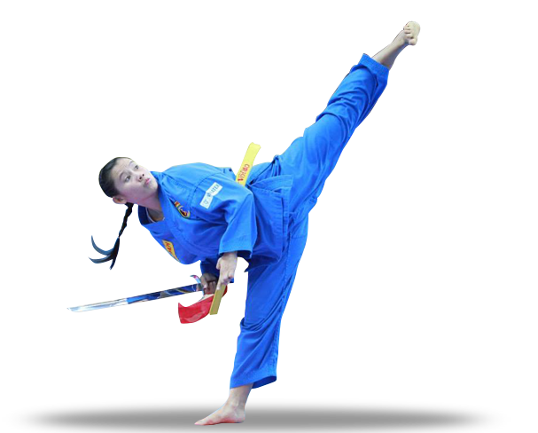 Vovinam Viet Vo Dao