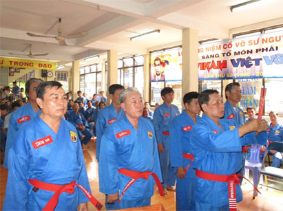 Vovinam picture