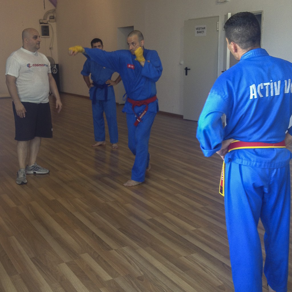 vovinam seminar romania02